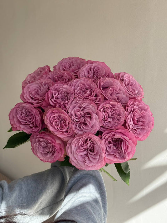 Blush Dream