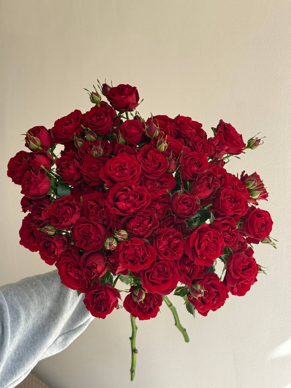 Velvet Red Romance