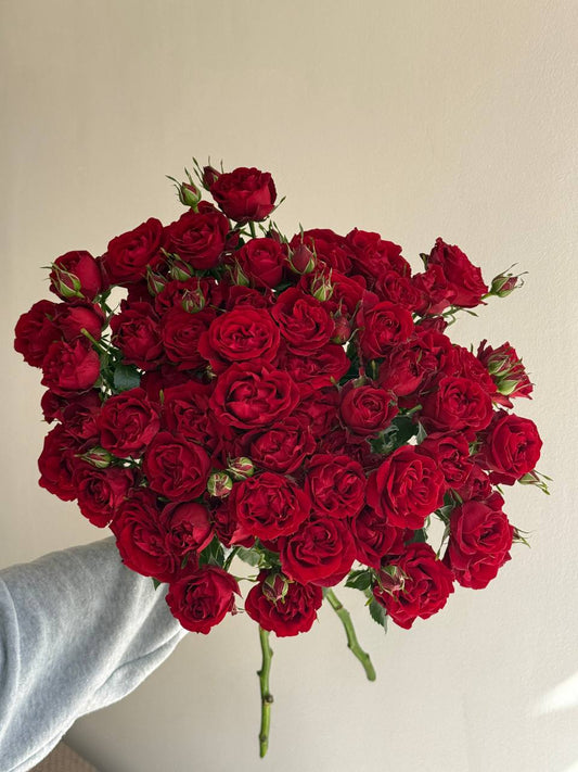 Velvet Red Romance