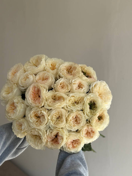 : Ivory Elegance
